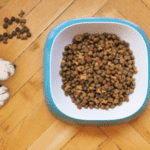 Como variar a alimentação do seu cachorro sem comprometer a saúde?
