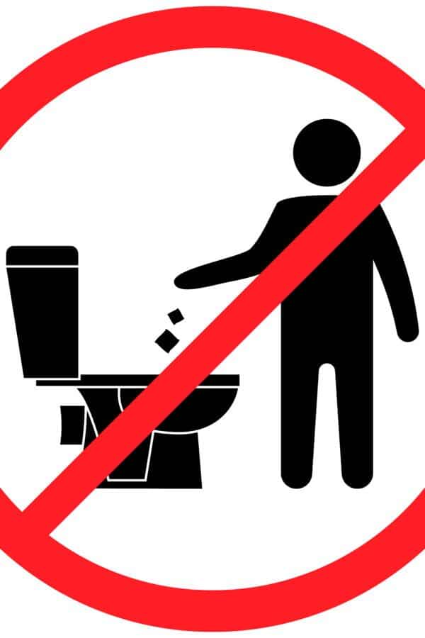 Coisas que Nunca Devem Ser Jogadas no Vaso Sanitário
