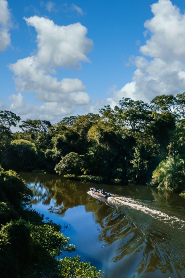 Cuiabá e sua conexão com a natureza selvagem