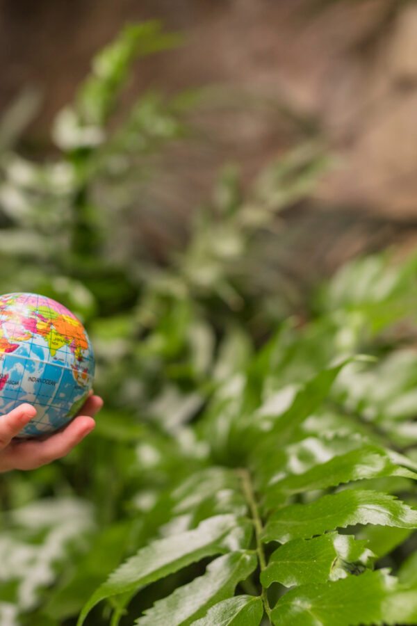 Biodiversidade e conservação