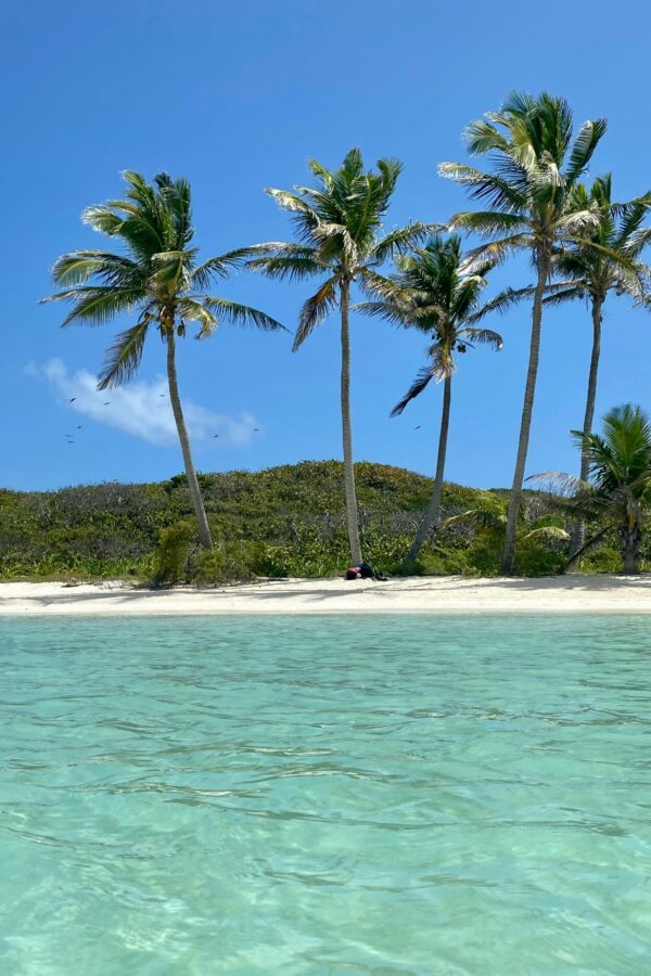 Cruzeiros pelo Caribe