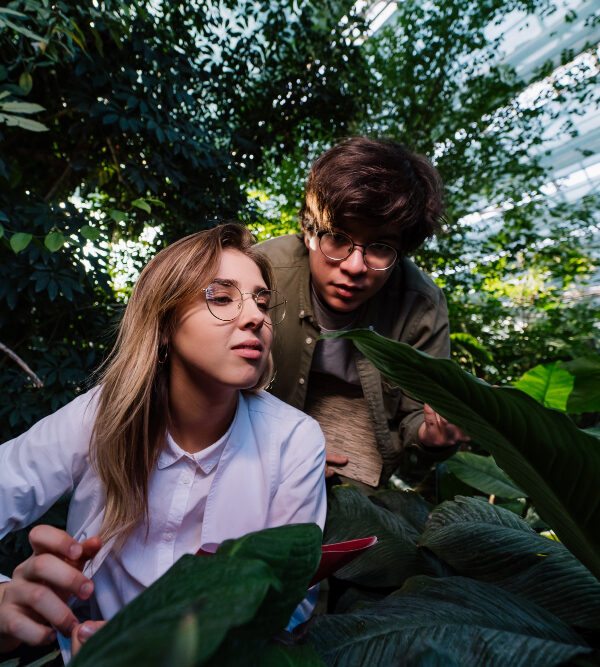 amantes da biodiversidade